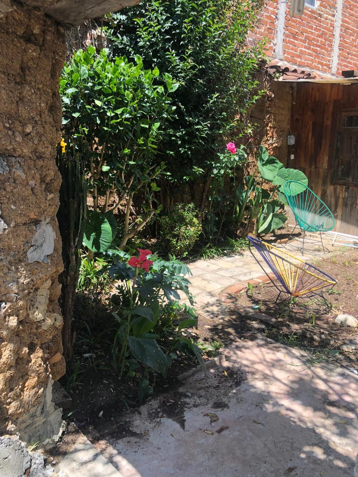 Hostal Casa Gaia San Cristobal de las Casas Ngoại thất bức ảnh