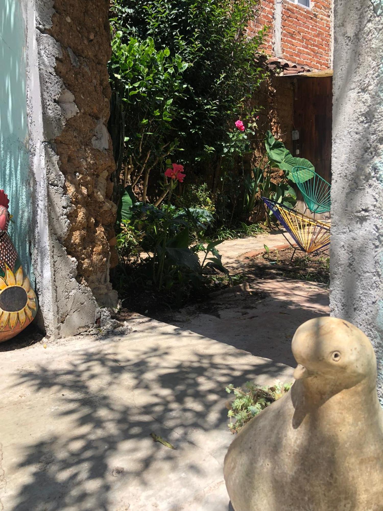 Hostal Casa Gaia San Cristobal de las Casas Ngoại thất bức ảnh
